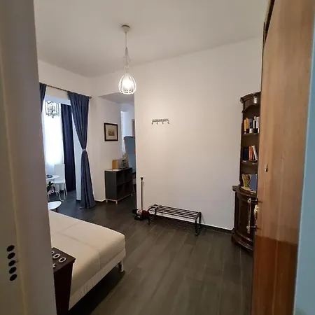 Geko Toledo Naples