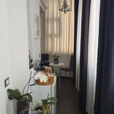 Geko Toledo Naples