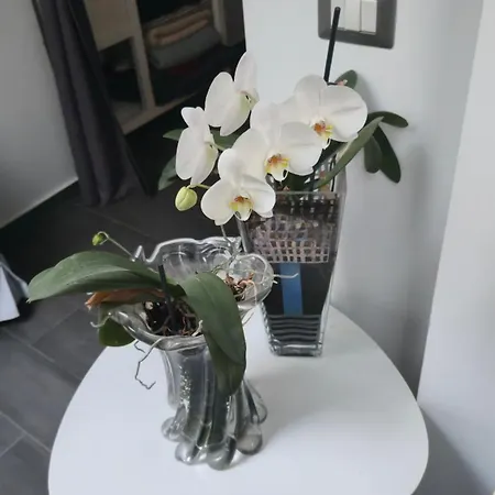 Geko Toledo 4* נאפולי